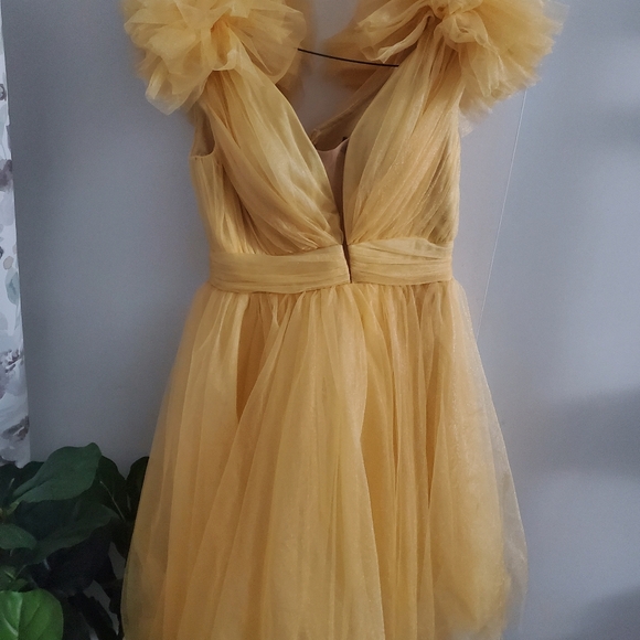 Mini Tulle Dress - Picture 8 of 16